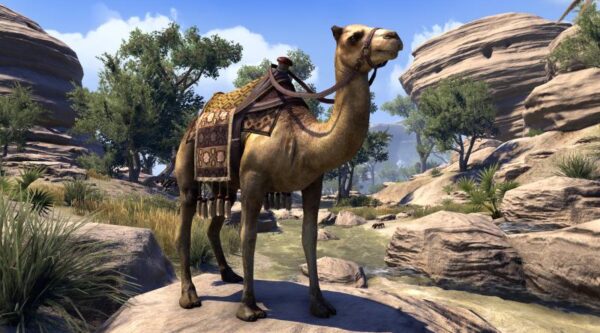 Хаммерфелльский верблюд / Hammerfell Camel