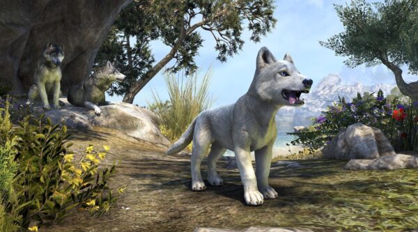 Ледяной волчонок с Белой реки / White River Ice Wolf Pup