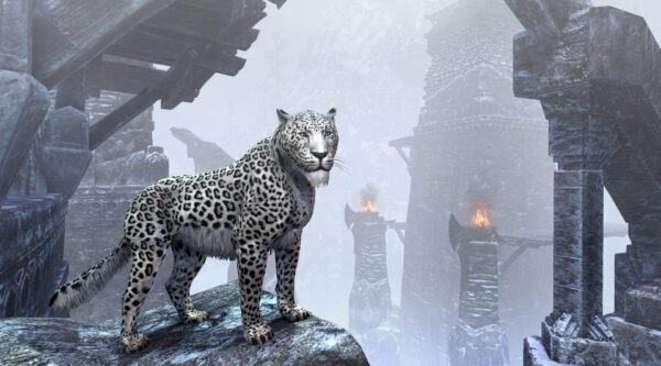 Пятнистый снежный сенч-леопард / Spotted Snow Senche-Leopard
