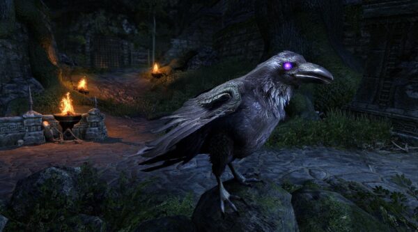 Оруженосец Карр / Squire Caw