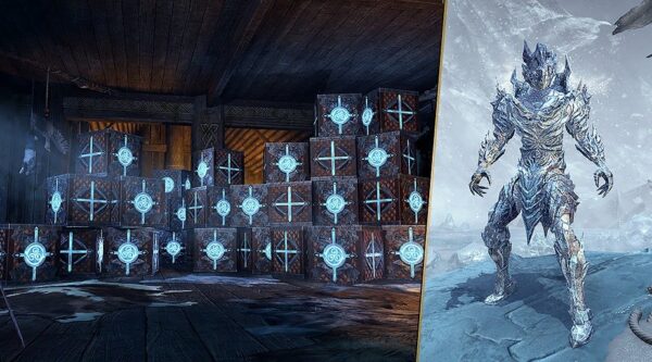 Комплект ящиков "Ледяная Ярость" / Frozen Fury Crate Bundle