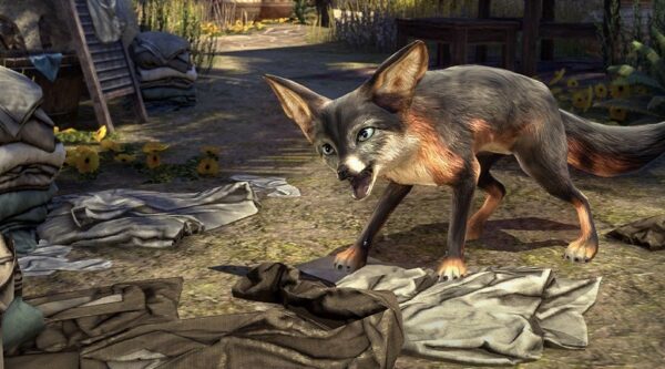 Бергамский фенек / Bergama Fennec Fox