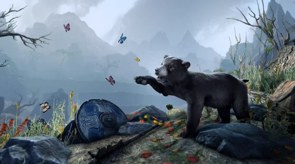 Черный медвежонок / Black Bear Cub