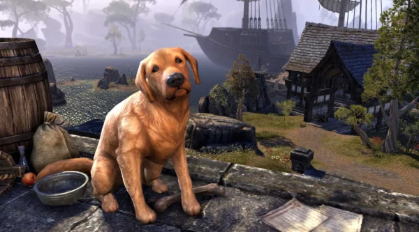 Бравильский ретривер / Bravil Retriever
