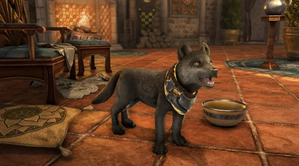 Преданный волчонок / Companion's Wolf Pup
