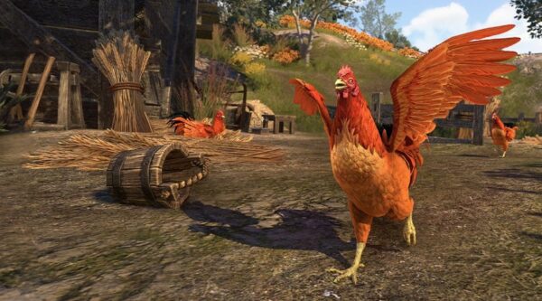 Рыжий петух крестоносца / Crusader's Coin Chicken