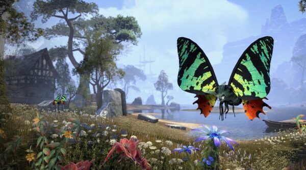 Мотылек художника из Эвермора / Evermore Painter's Moth
