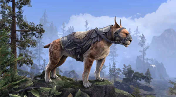 Фолкритская ездовая рысь / Falkreath Riding-Lynx