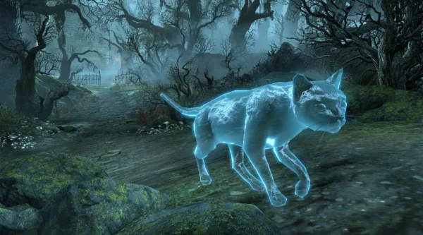 Призрачная домашняя кошка / Ghostly Housecat