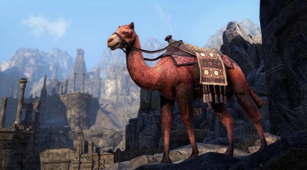 Королевский верблюд из Хель-Ра / Hel Ra Camel of Kingship