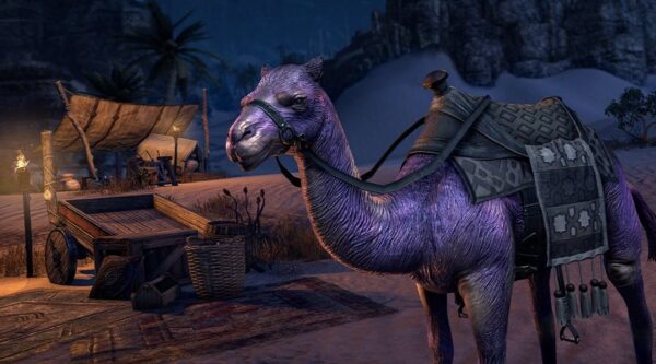 Верблюд сизых сумерек / Indigo Twilight Camel