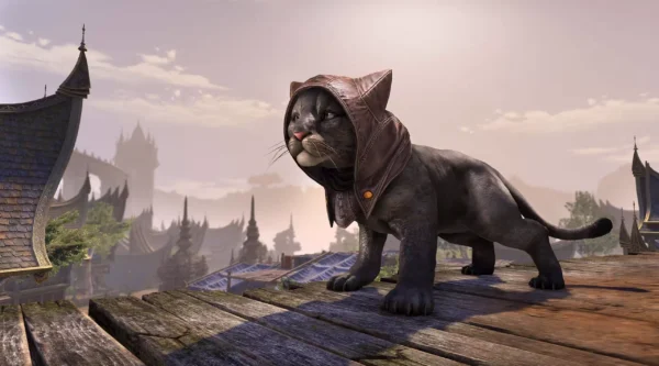 Джа'каджит Камира / Ja'khajiit Khamira