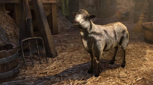 Пятнистая овца / Mottled Sheep