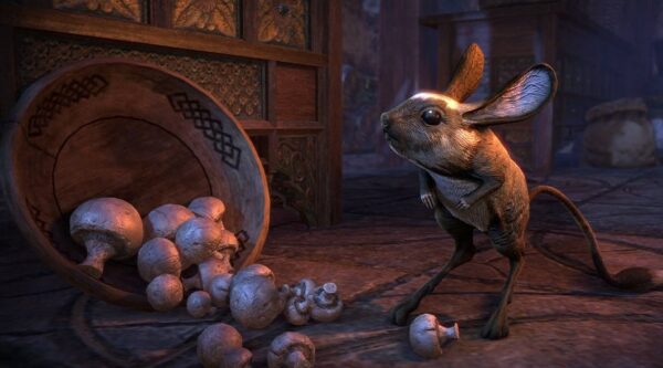 Тушканчик из Риммена / Rimmen Jerboa