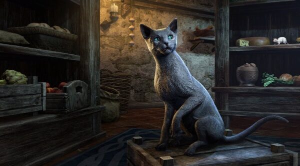 Серебристо-серый мышелов / Silver-Gray Mouser Cat