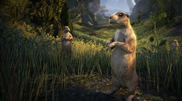 Луговая собачка из Южного вельда / South Weald Prairie Dog