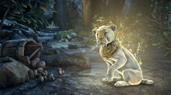 Детеныш совнгардского саблезуба / Sovngarde Sabre Cat Cub