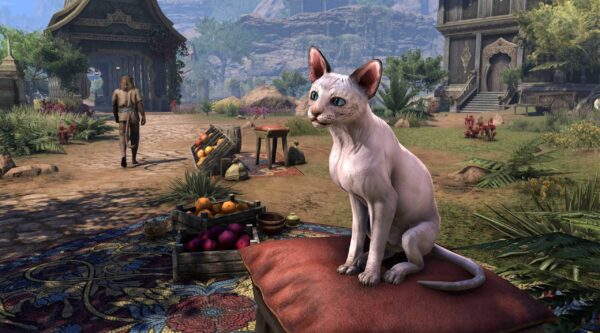 Рысь-сфинкс / Sphynx Lynx