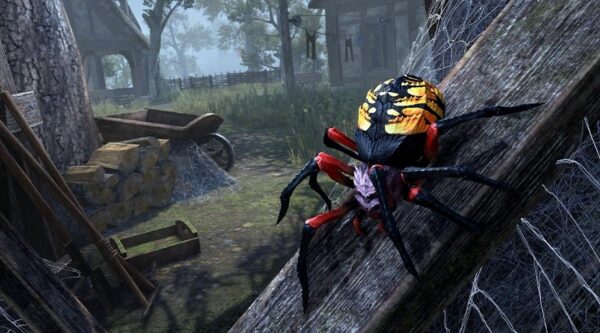 Пятнистый плужный паук / Spotted Plow Spider