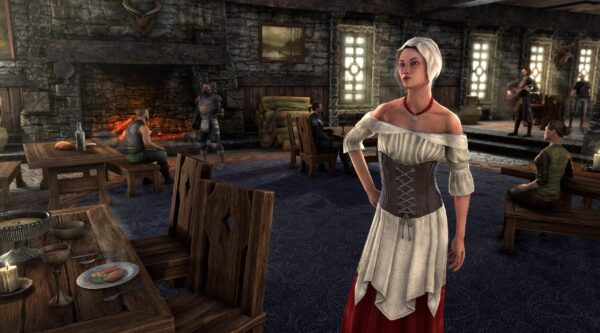 Служанка в таверне / Tavern Maid