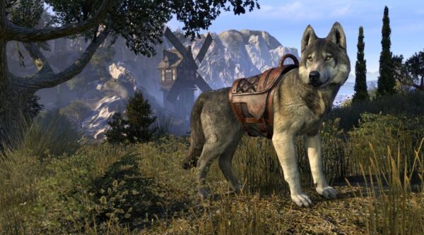 Горный волк / Highland Wolf